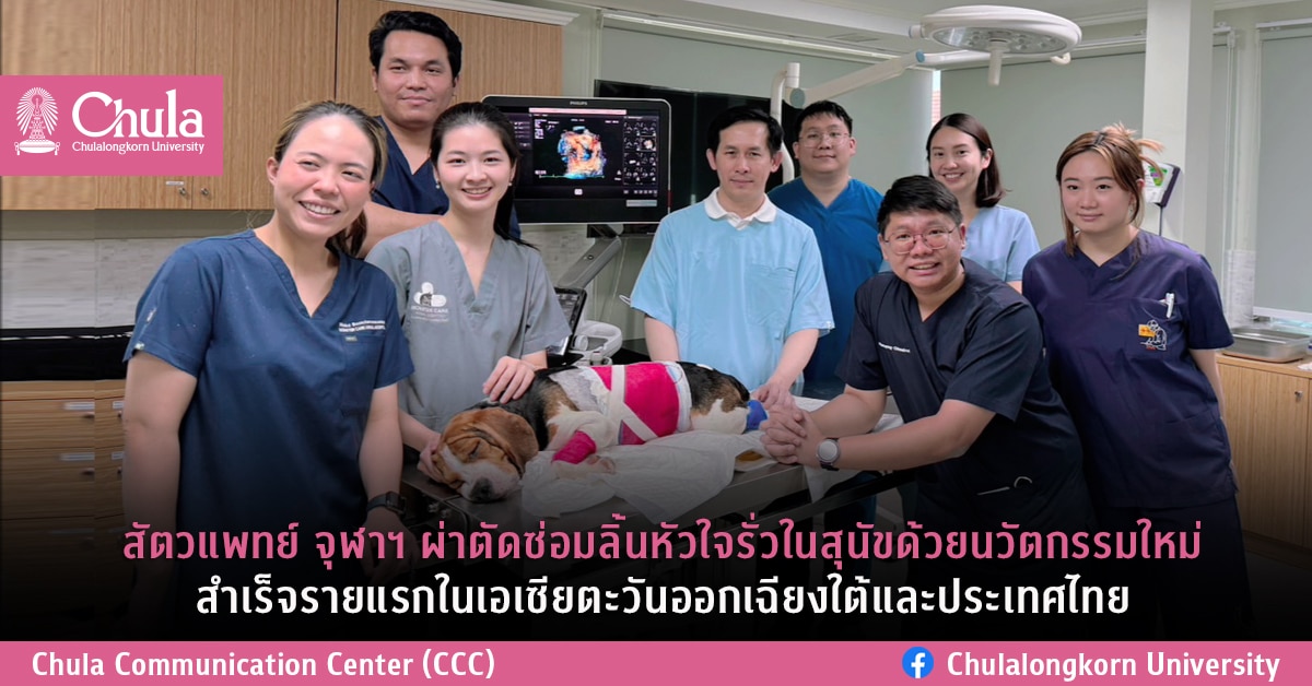 สัตวแพทย์ จุฬาฯ ผ่าตัดซ่อมลิ้นหัวใจรั่วในสุนัขด้วยนวัตกรรมใหม่ สำเร็จรายแรกในเอเชียตะวันออกเฉียงใต้และประเทศไทย