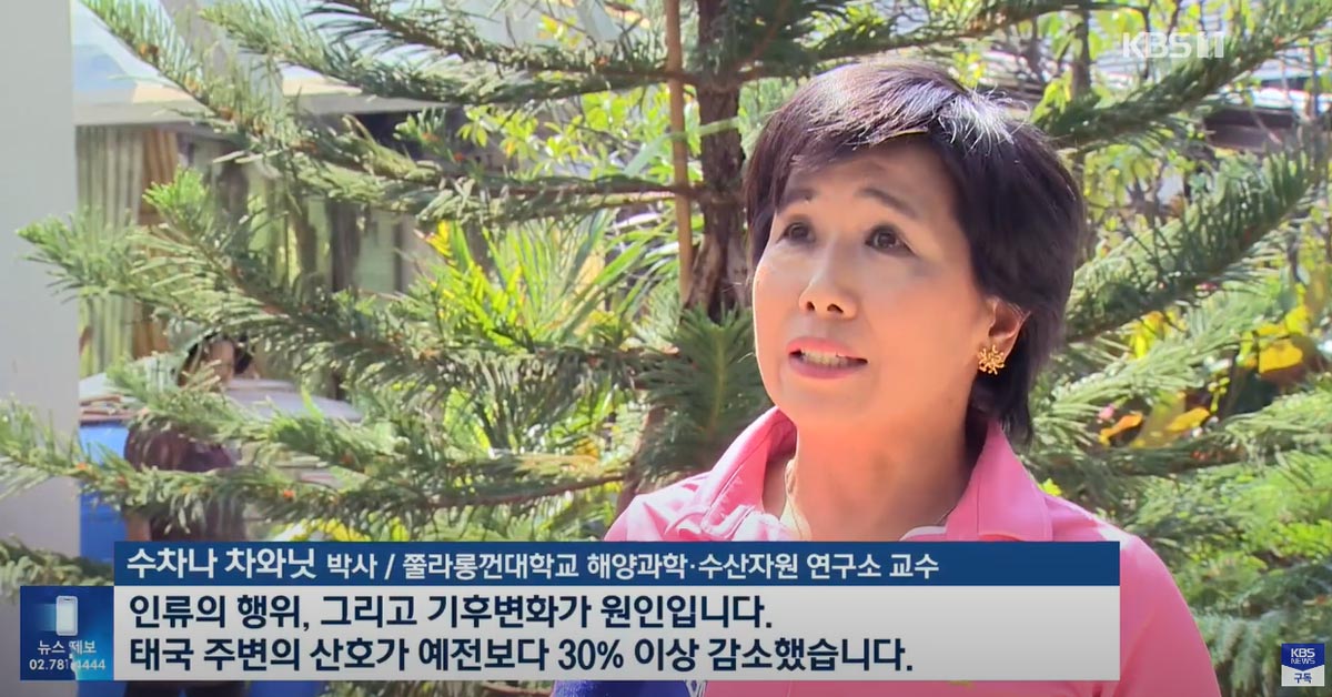 KBS: 태국에는 ‘해녀’ 아닌 ‘해남’이…기후 변화에 생계 위기