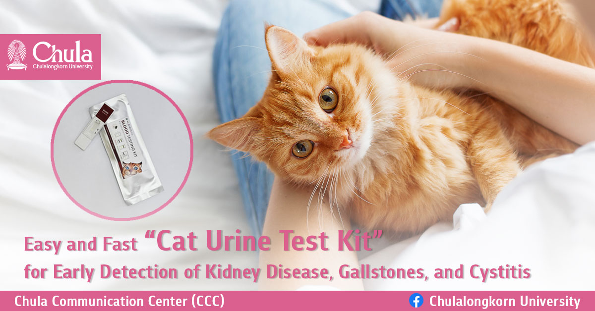 Easy and Fast “Cat Urine Test Kit” for Early Detection of Kidney Disease, Gallstones, and Cystitis