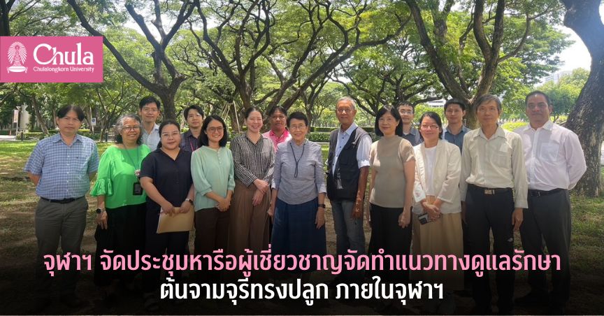 จุฬาฯ จัดประชุมหารือผู้เชี่ยวชาญจัดทำแนวทางดูแลรักษาต้นจามจุรีทรงปลูก ภายในจุฬาฯ