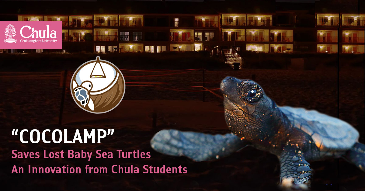 COCOLAMP Saves Lost Baby Sea Turtles, An Innovation from Chulalongkorn Students 