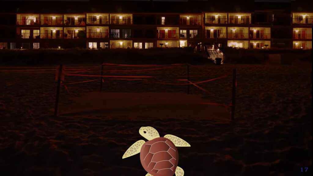 COCOLAMP is friendly to sea turtles and nature 