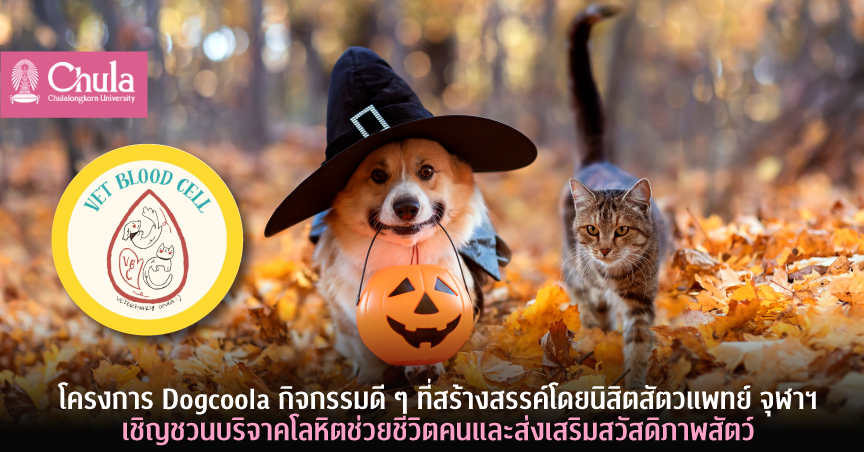 โครงการ Dogcoola กิจกรรมดี ๆ ที่สร้างสรรค์โดยนิสิตสัตวแพทย์ จุฬาฯ เชิญชวนบริจาคโลหิตช่วยชีวิตคนและส่งเสริมสวัสดิภาพสัตว์