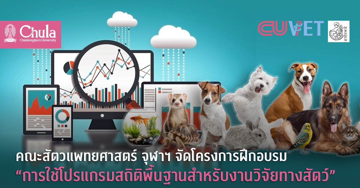 คณะสัตวแพทยศาสตร์ จุฬาฯ จัดโครงการฝึกอบรม “การใช้โปรแกรมสถิติพื้นฐานสำหรับงานวิจัยทางสัตว์”