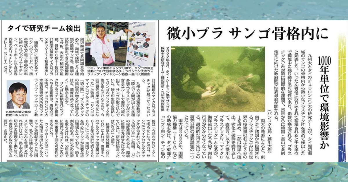 [The Tokyo Shimbun & The Chunichi Shimbun] 微小プラ サンゴ骨格内に