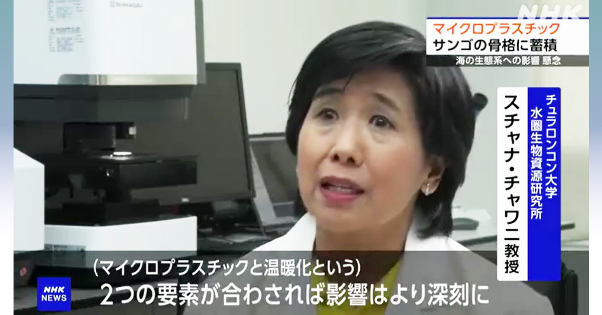 [NHK] ”マイクロプラスチック サンゴの骨格に蓄積” 九州大学など