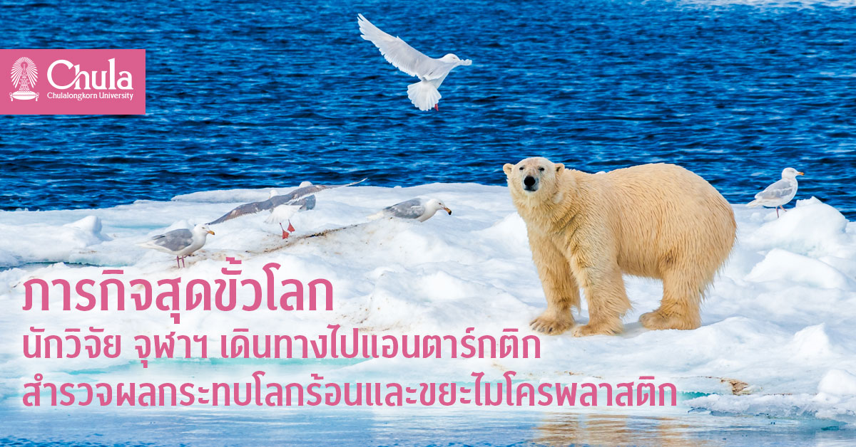ภารกิจสุดขั้วโลก นักวิจัย จุฬาฯ เดินทางไปแอนตาร์กติก สำรวจผลกระทบโลกร้อนและขยะไมโครพลาสติก