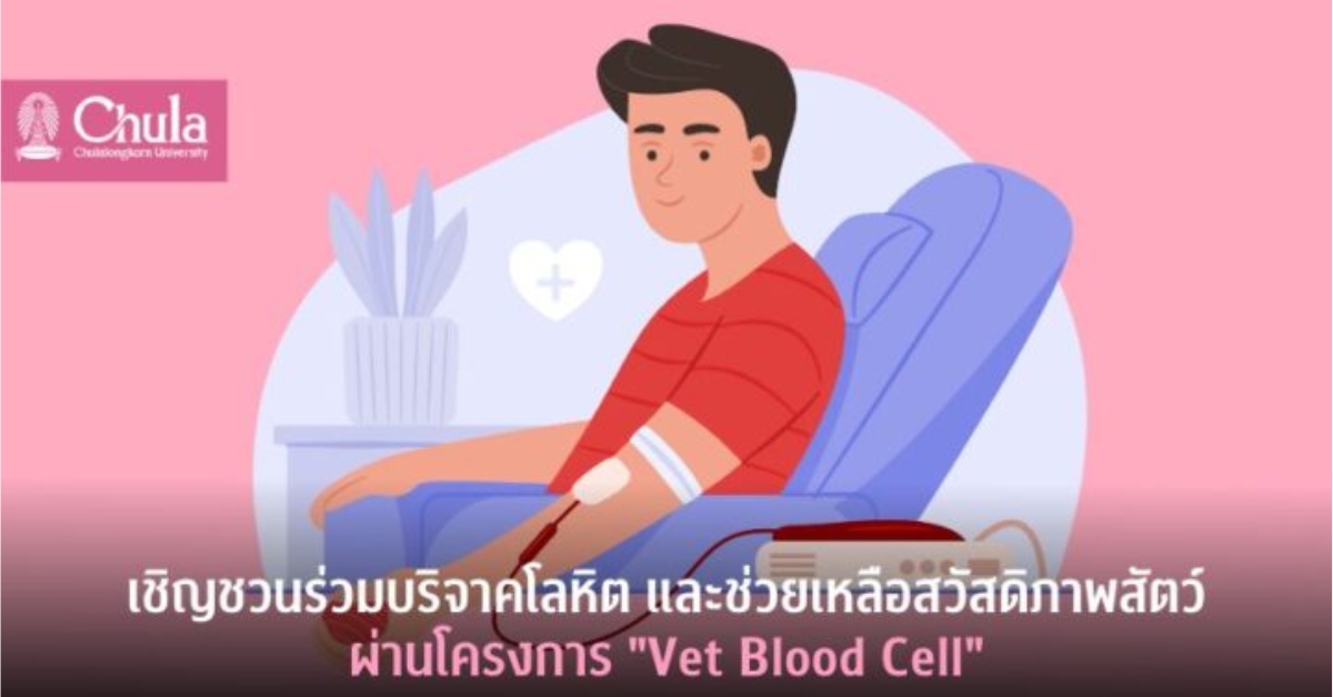 เชิญชวนร่วมบริจาคโลหิต และช่วยเหลือสวัสดิภาพสัตว์ผ่านโครงการ “Vet Blood Cell”