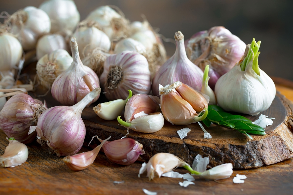 Food Is Medicine��Health Innovation for Modern People?