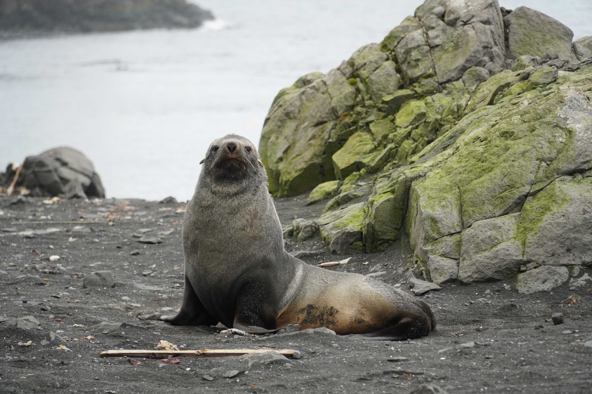 An extreme mission, Chulalongkorn researchers travel to the Antarctic?To Investigate the Impacts of Global Warming and Microplastic Waste