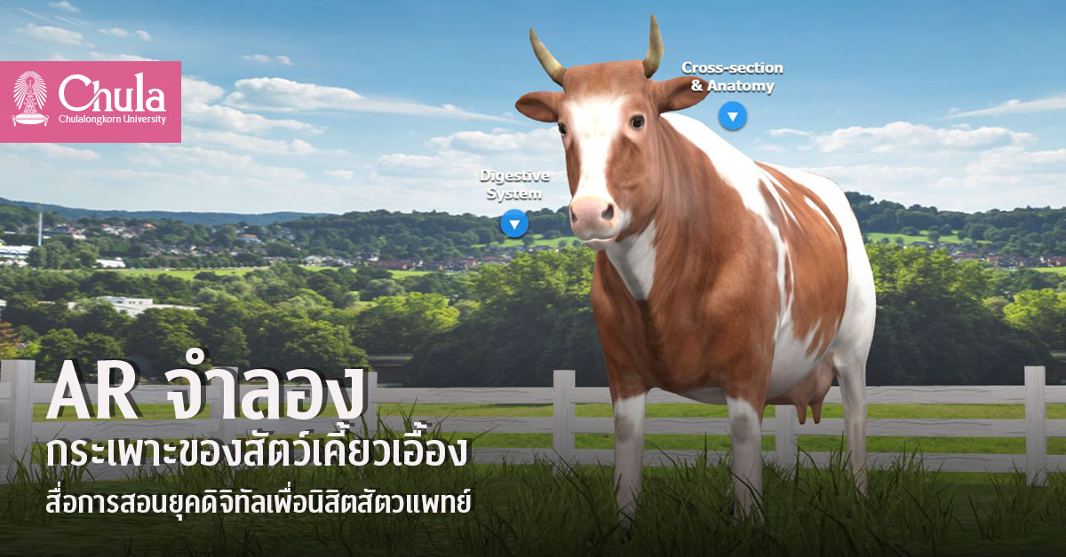 AR จำลองกระเพาะของสัตว์เคี้ยวเอื้อง สื่อการสอนยุคดิจิทัลเพื่อนิสิตสัตวแพทย์