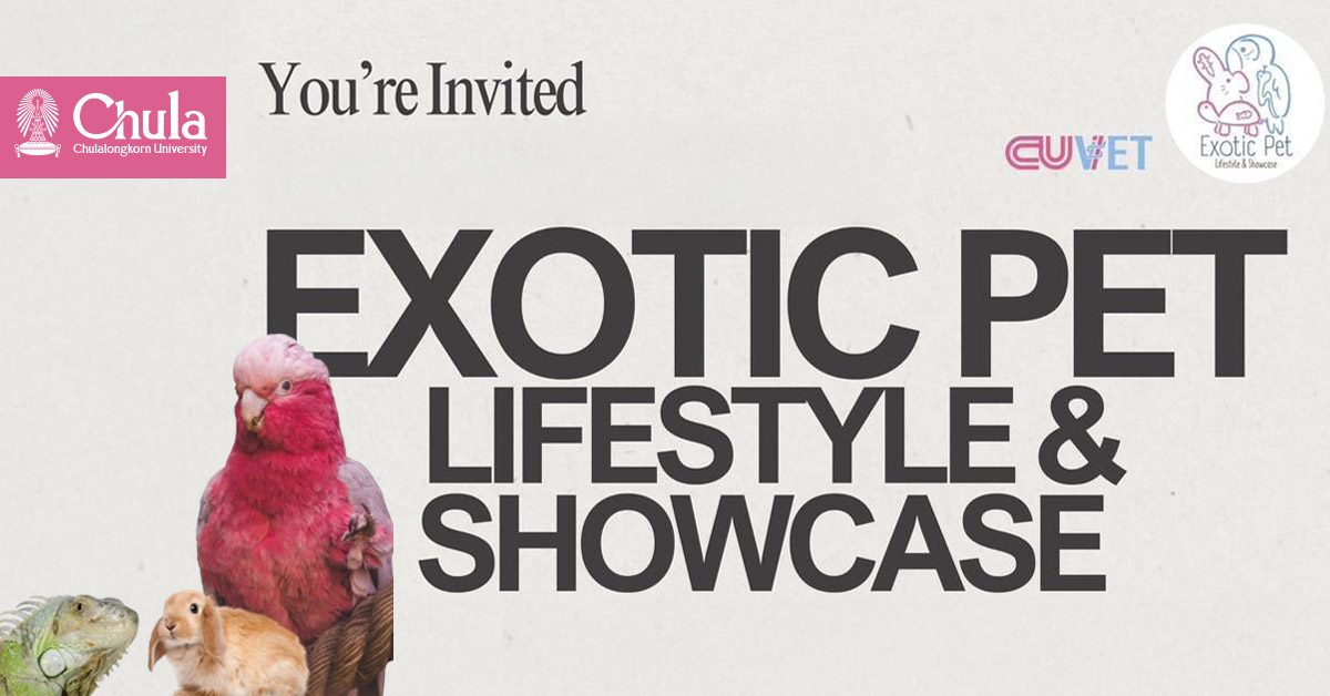 Chula’s Faculty of Veterinary Science Presents “Exotic Pet Lifestyle & Showcase” 