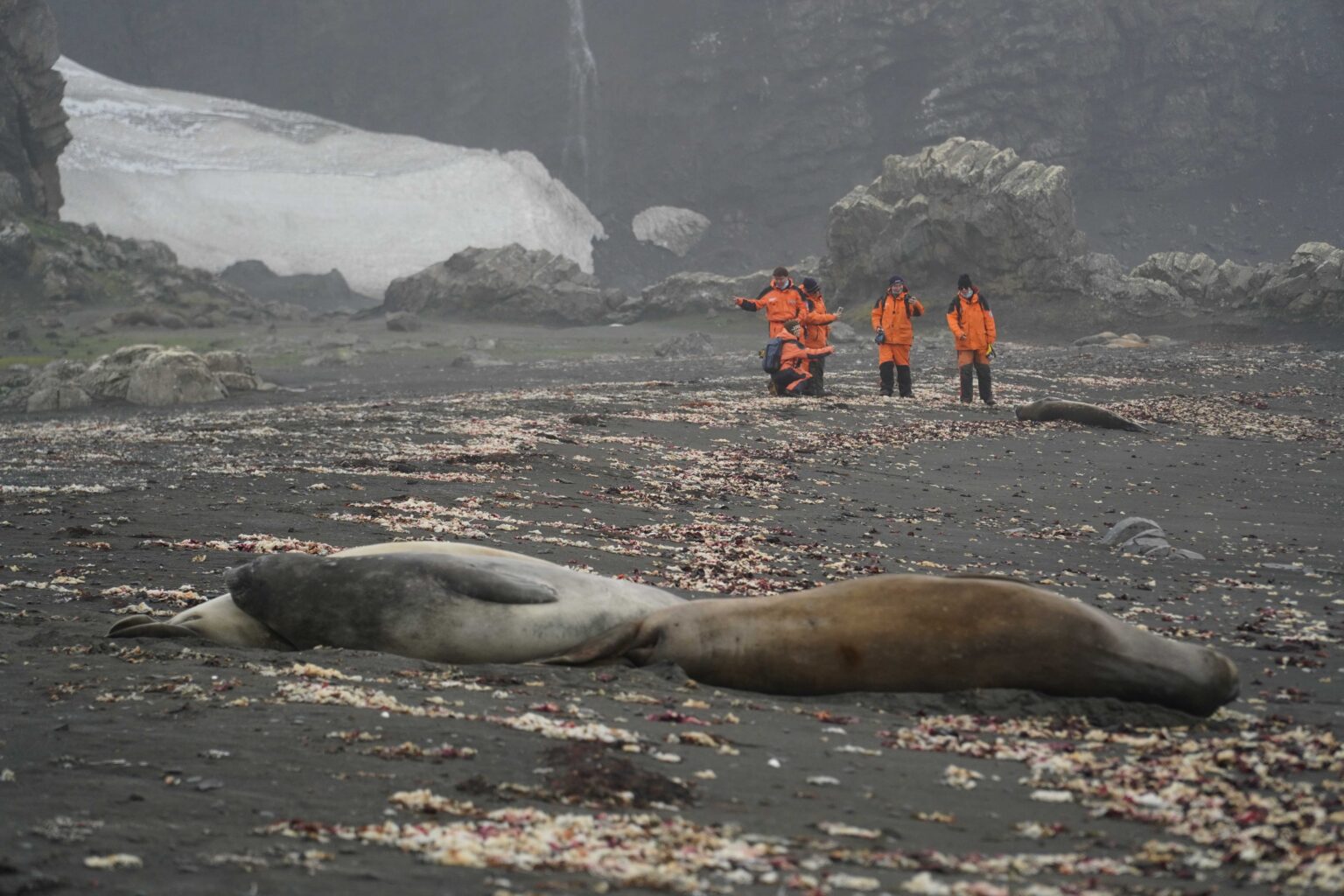 An extreme mission, Chulalongkorn researchers travel to the Antarctic?To Investigate the Impacts of Global Warming and Microplastic Waste