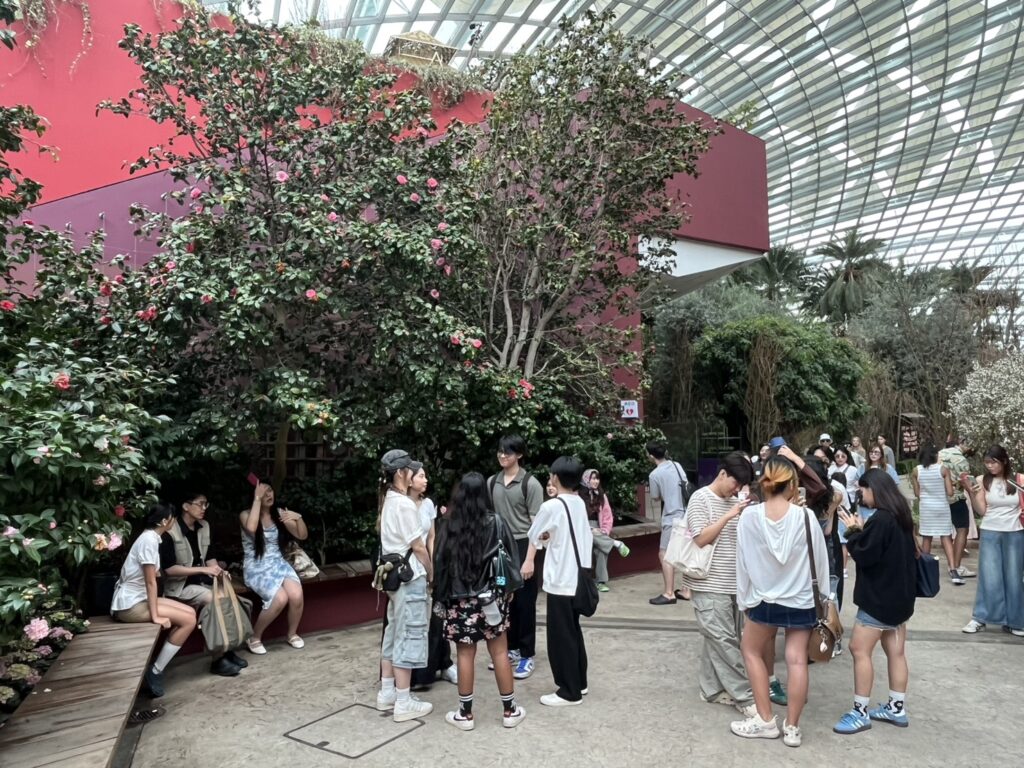 Chula Takes Part in Art Activity in Singapore with Nanyang Polytechnic for Sustainable Design 