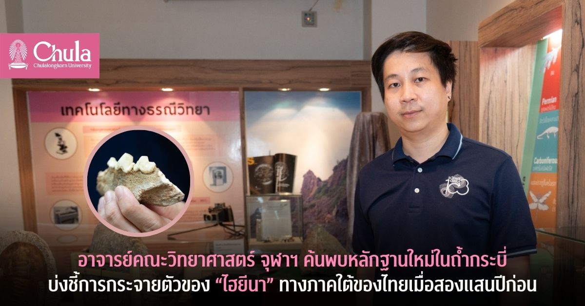 อาจารย์คณะวิทยาศาสตร์ จุฬาฯ ค้นพบหลักฐานใหม่ในถ้ำกระบี่ บ่งชี้การกระจายตัวของ “ไฮยีนา” ทางภาคใต้ของไทยเมื่อสองแสนปีก่อน