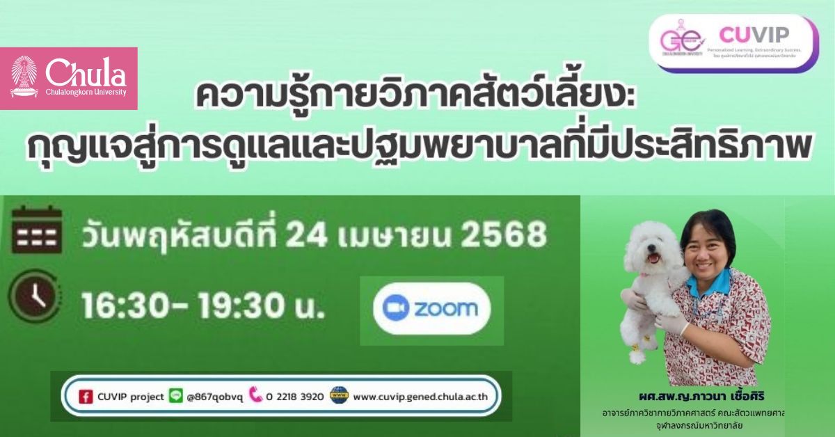 CUVIP เชิญร่วมเรียนรู้เรื่อง “กายวิภาคสัตว์เลี้ยง: กุญแจสู่การดูแลและปฐมพยาบาลที่มีประสิทธิภาพ”