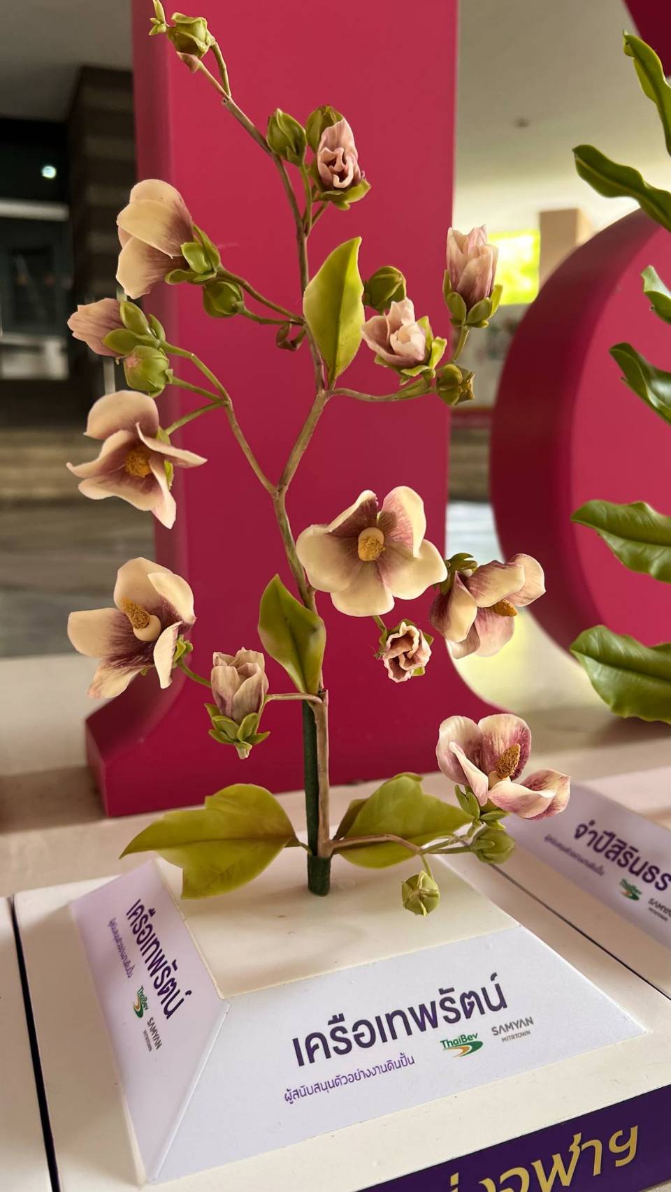 "Phan Mai Nai Phra Nam" Models Join Chula’s Silapa-Sin Thammachart Museum to Inspire Youth in Botanical Sciences?