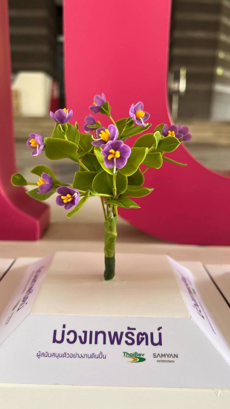 "Phan Mai Nai Phra Nam" Models Join Chula’s Silapa-Sin Thammachart Museum to Inspire Youth in Botanical Sciences?