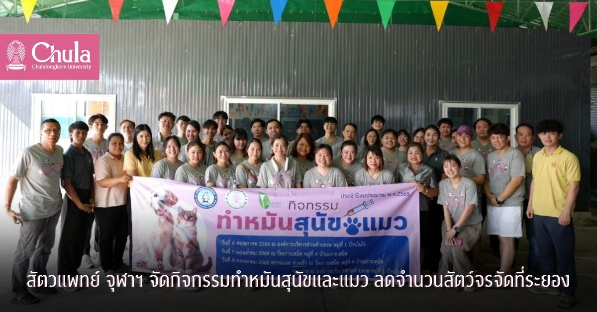 คณะสัตวแพทย์ จุฬาฯ จัดโครงการทำหมันสุนัขและแมว ลดจำนวนสัตว์จรจัดที่ อ.บ้านเพ และเกาะเสม็ดระยอง