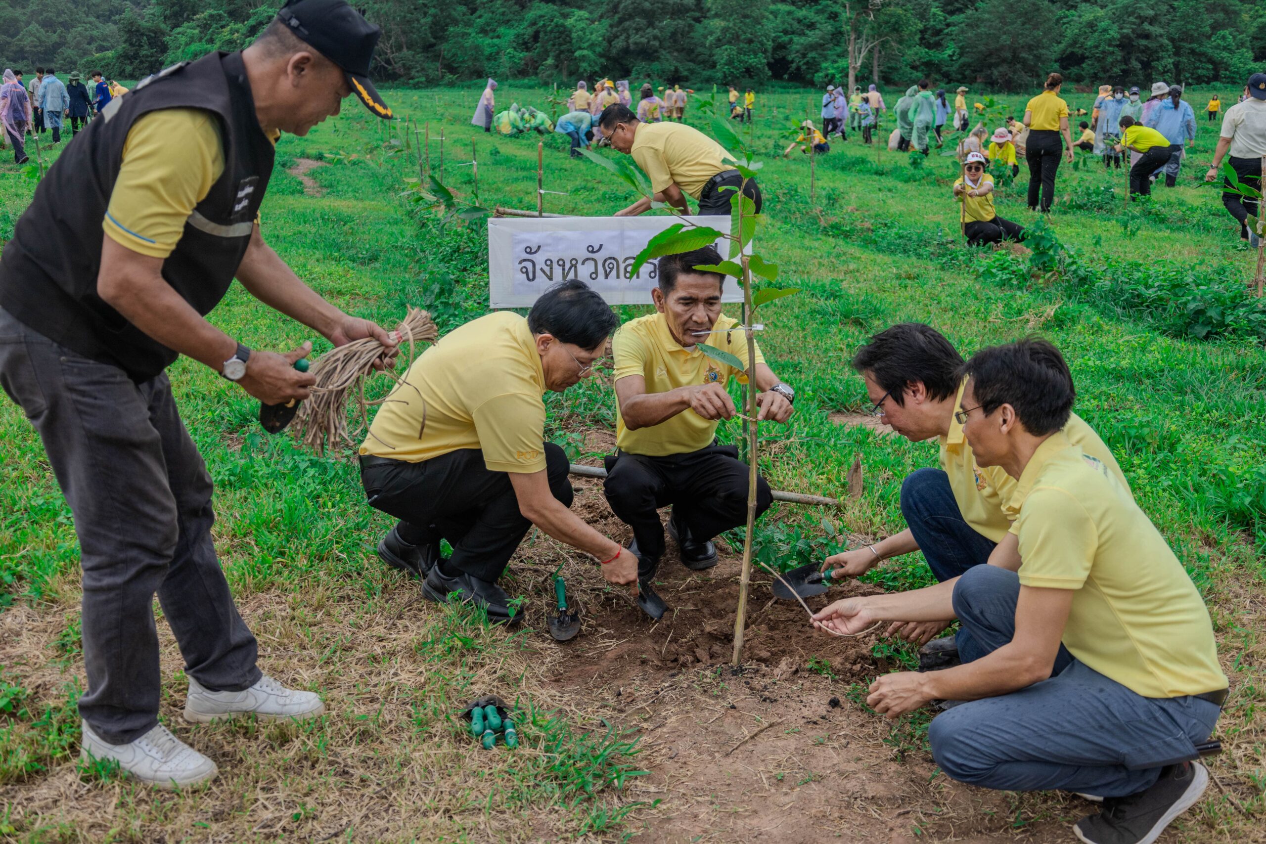 Chula’s Reforestation Project Achieves Highest Carbon Sequestration Rate Among Thai Universities 