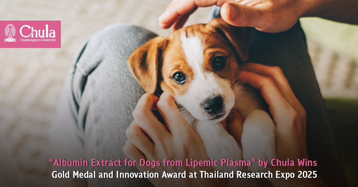 “Albumin Extract for Dogs from Lipemic Plasma” by Chula Students and Faculty Wins Gold Medal and Innovation Award at Thailand Research Expo 2025 
