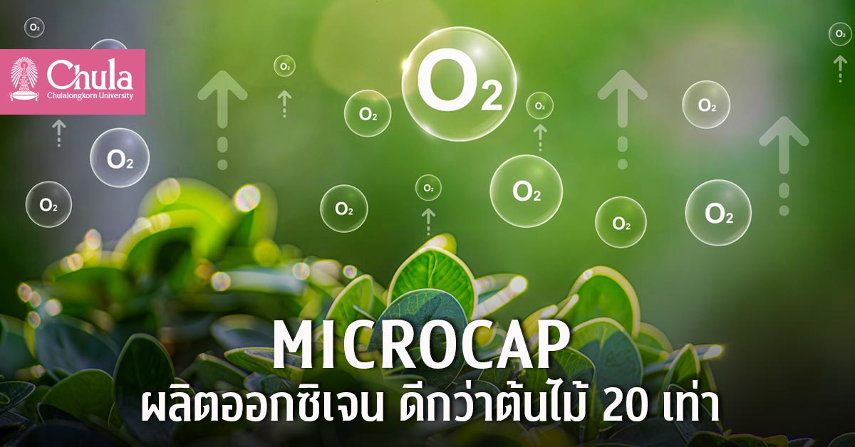 MICROCAP เครื่องผลิตออกซิเจนจากจุลสาหร่าย กำจัด CO₂ เติมอากาศบริสุทธิ์ในอาคาร