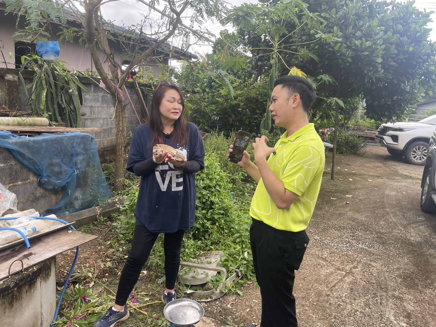Chula’s Rugose Frog Farming Initiative Helps Nan Farmers Build Sustainable Incomes