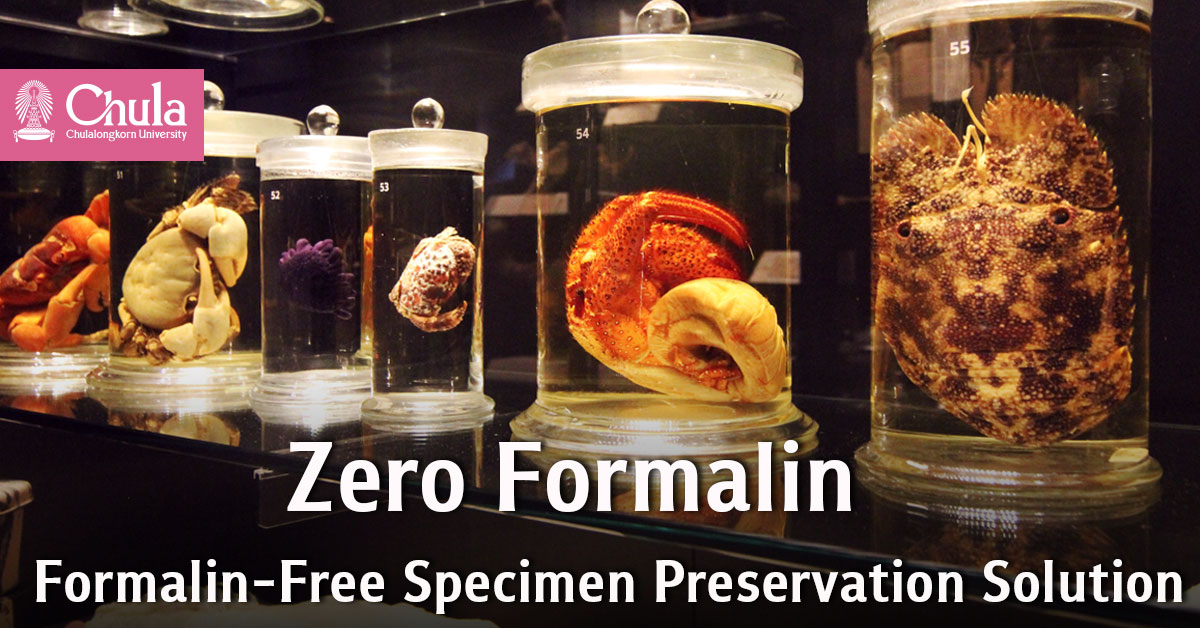 Zero Formalin Specimen Preservation Solution for Formalin-Free Classrooms 