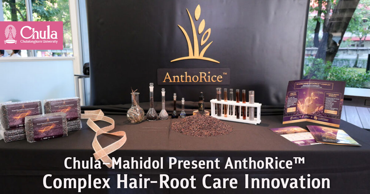 Chula–Mahidol Present AnthoRice™ Complex Hair-Root Care Innovation