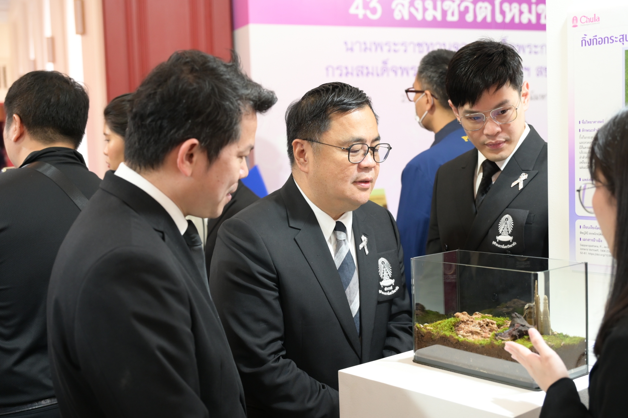 Chula Announces Discovery of 43 New Species to the World