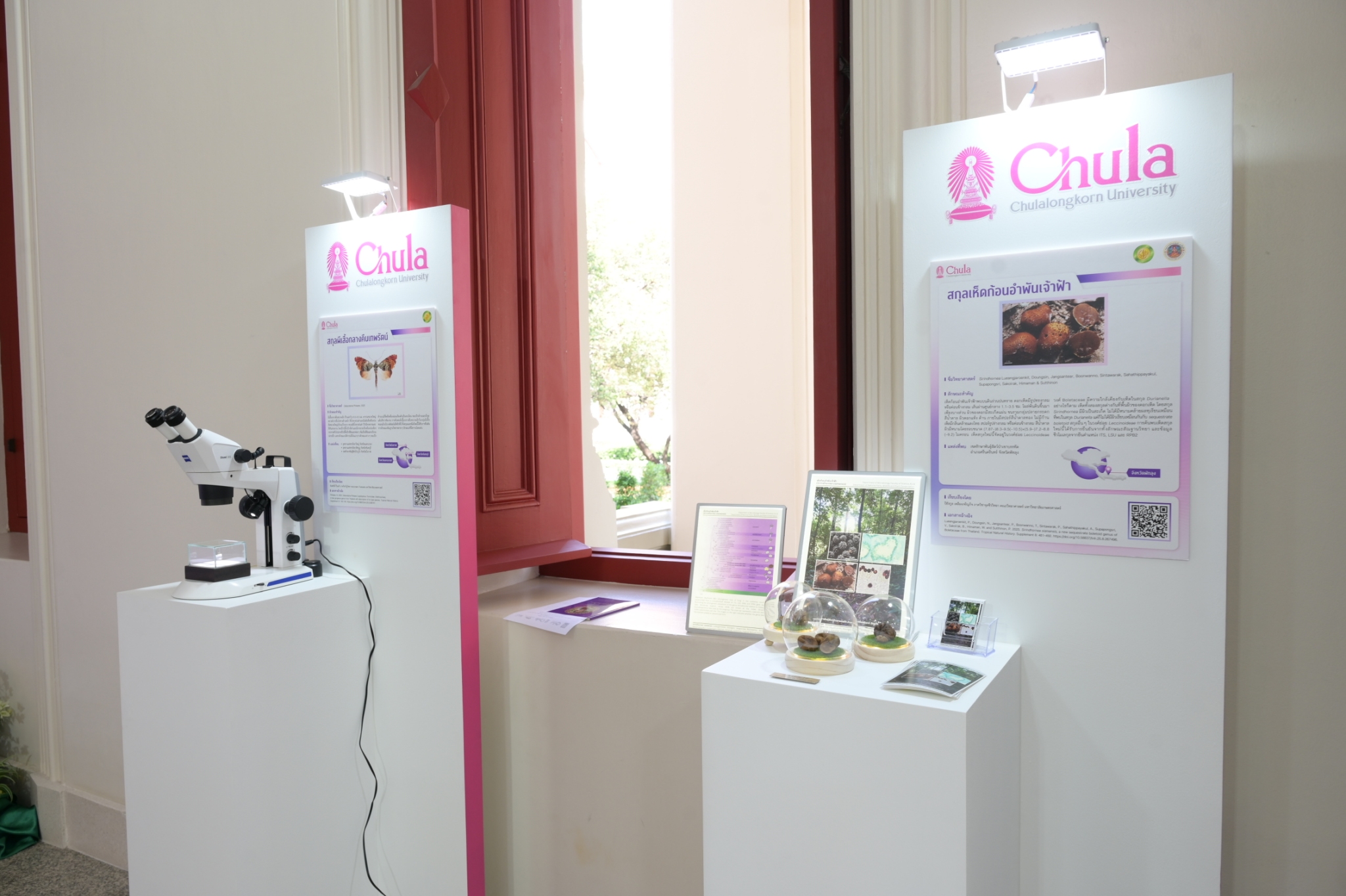 Chula Announces Discovery of 43 New Species to the World