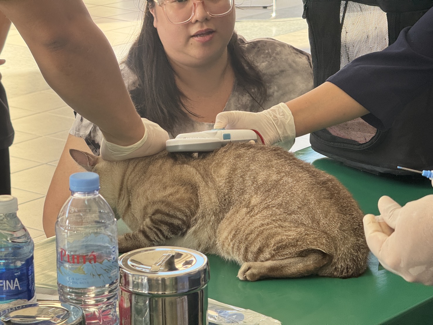 Chula and BMA Partner to Enhance Animal Health and Public Safety