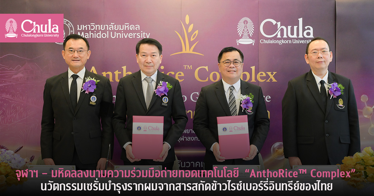 จุฬาฯ – มหิดลลงนามความร่วมมือถ่ายทอดเทคโนโลยี “AnthoRice™ Complex” นวัตกรรมเซรั่มบำรุงรากผมจากสารสกัดข้าวไรซ์เบอร์รี่อินทรีย์ของไทย
