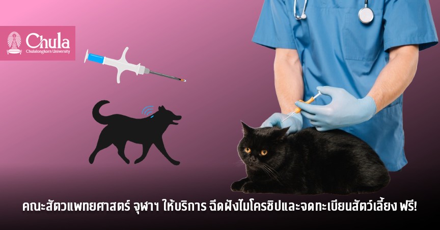 คณะสัตวแพทยศาสตร์ จุฬาฯ ให้บริการ ฉีดฝังไมโครชิปและจดทะเบียนสัตว์เลี้ยงฟรี!