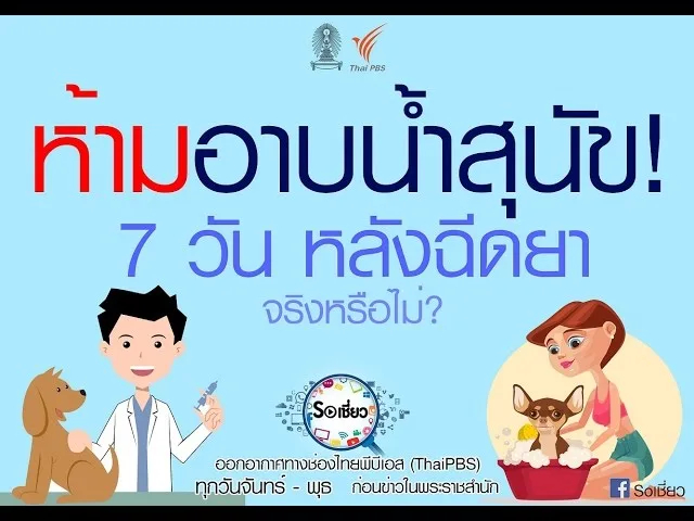 Soเชี่ยว EP60 ห้ามอาบน้ำสุนัข 7 วันหลังจากฉีดยา จริงหรือไม่