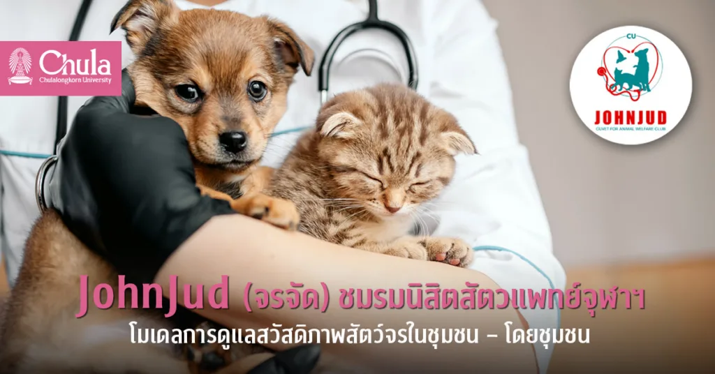 JohnJud (จรจัด) ชมรมนิสิตสัตวแพทย์จุฬาฯ โมเดลการดูแลสวัสดิภาพสัตว์จรในชุมชน – โดยชุมชน