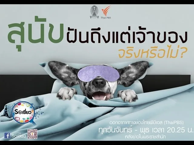 Soเชี่ยว EP 63 สุนัขฝันถึงแต่เจ้าของ จริงหรือไม่