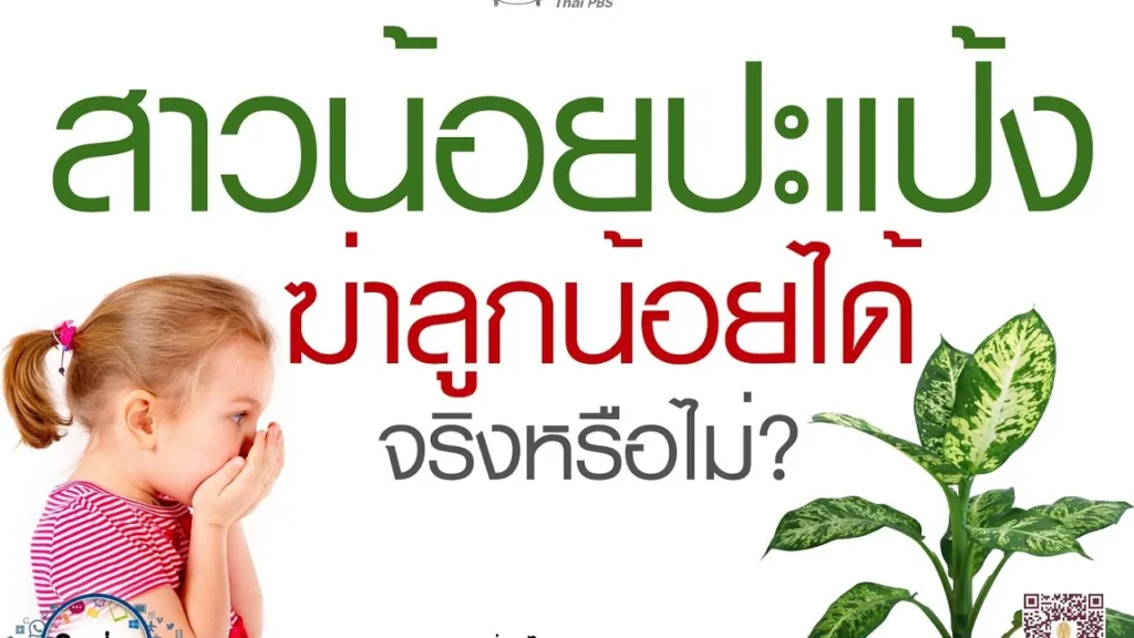 Soเชี่ยว EP72 สาวน้อยปะแป้งฆ่าลูกน้อยได้ จริงหรือไม่