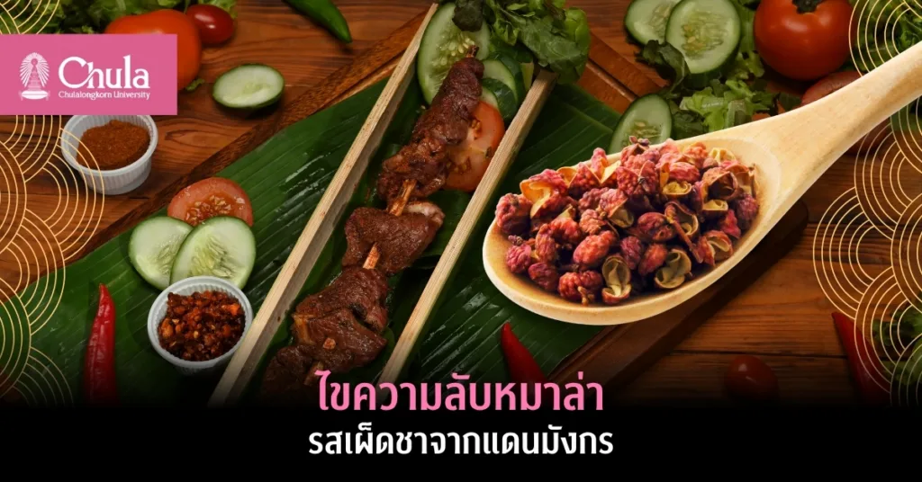 ความลับ “หมาล่า” รสชาติเผ็ดชาที่เป็นเอกลักษณ์กับเสน่ห์วัฒนธรรมการกินจากแดนมังกร