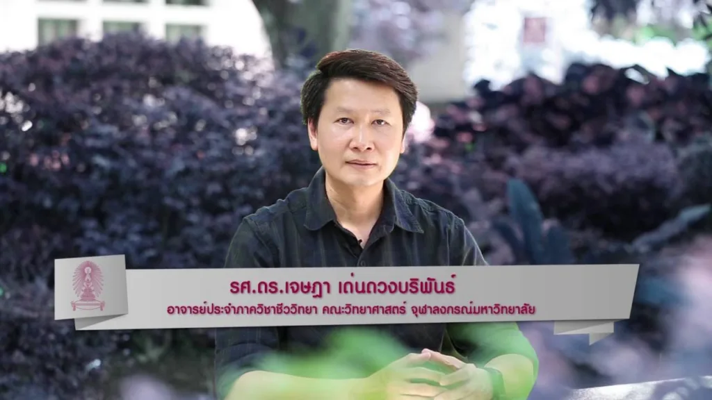Soเชี่ยว EP3 Vitastik หรือวิตามินแท่งแบบสูบดีจริงหรือไม่