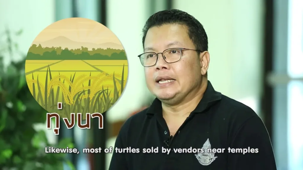 Soเชี่ยว EP53 ปล่อยกบและเต่าลงแม่น้ำ ได้บุญจริงหรือไม่