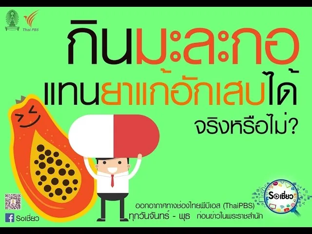 SOเชี่ยว EP54 มะละกอไม่สามารถใช้แทนยาแก้อักเสบได้ จริงหรือไม่