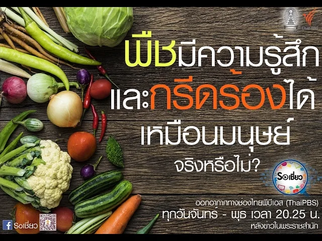 Soเชี่ยว EP38 พืชมีความรู้สึกและกรีดร้องเหมือนมนุษย์ได้ จริงหรือไม่