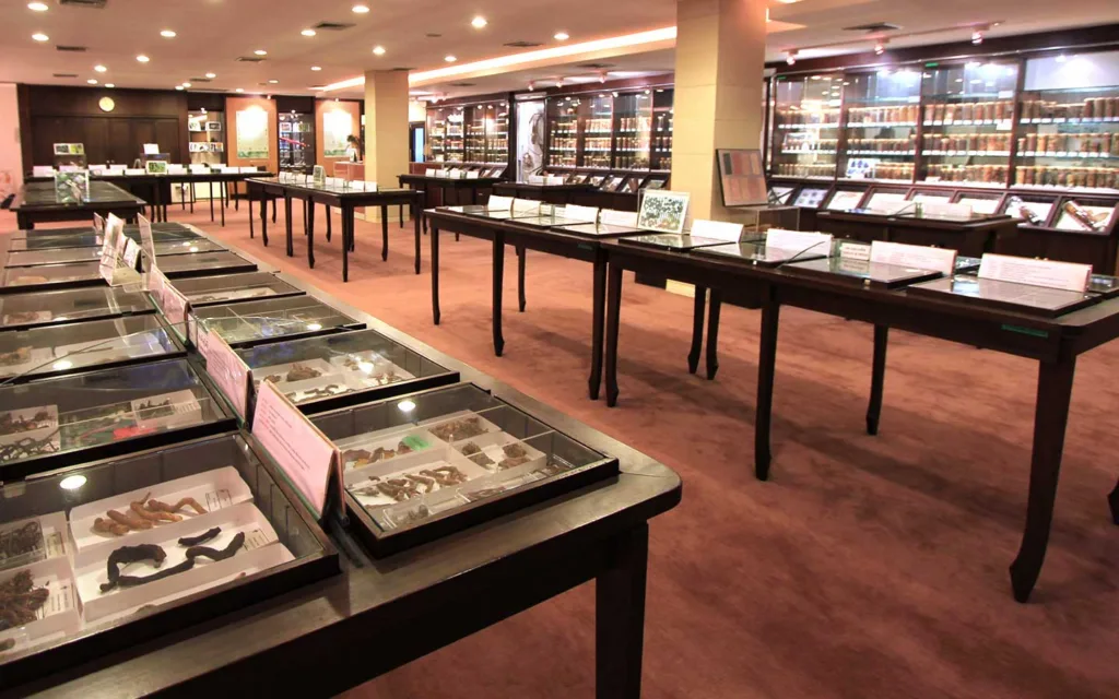 Chulalongkorn University Herbs Museum