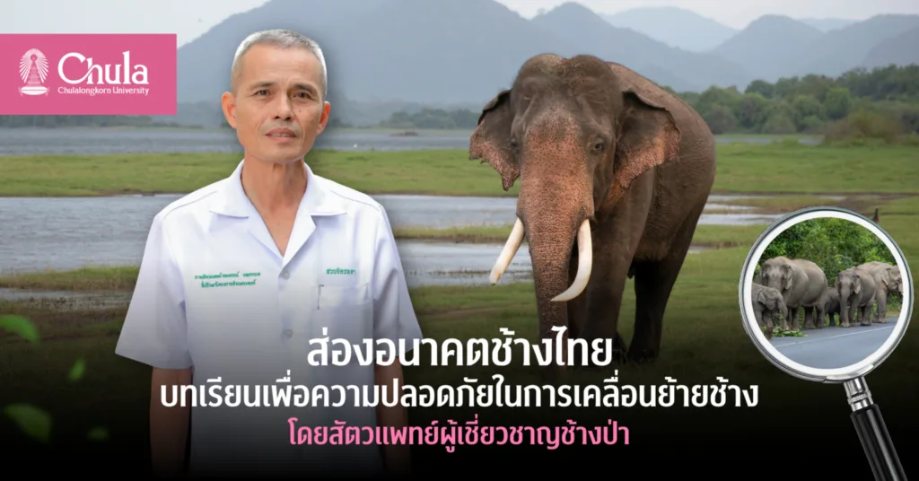 ส่องอนาคตช้างไทย บทเรียนเพื่อความปลอดภัยในการเคลื่อนย้ายช้าง โดยสัตวแพทย์ผู้เชี่ยวชาญช้างป่า