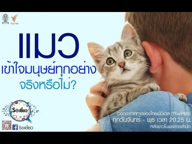 Soเชี่ยว EP30 แมวเข้าใจมนุษย์ทุกอย่าง จริงหรือไม่