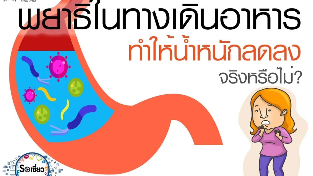 Soเชี่ยว EP65 พยาธิในทางเดินอาหารทำให้น้ำหนักลดลง จริงหรือไม่
