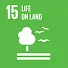 SDG 15 - Life on Land