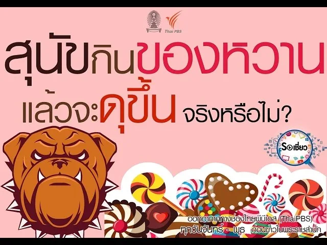 Soเชี่ยว EP57 สุนัขรับประทานของหวานทำให้มีนิสัยดุขึ้น จริงหรือไม่