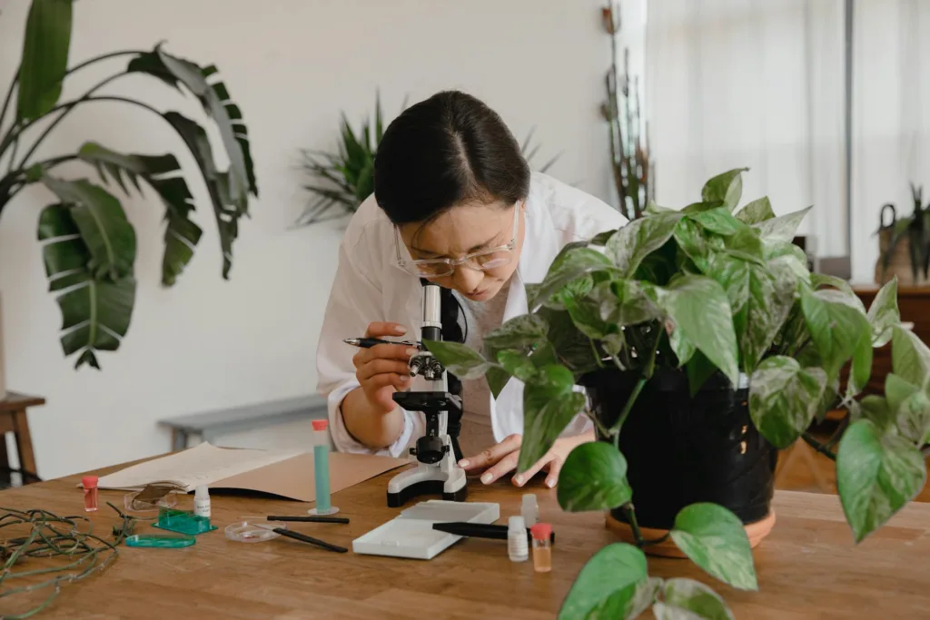 Environment Research